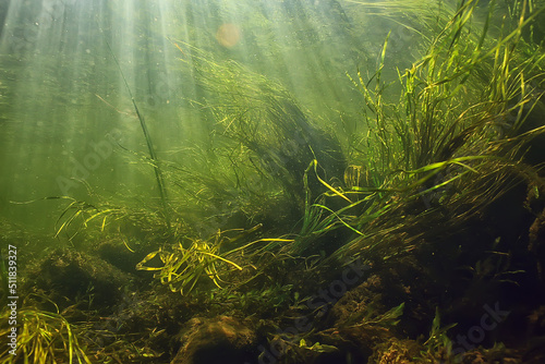 sun rays under water landscape, seascape fresh water river diving