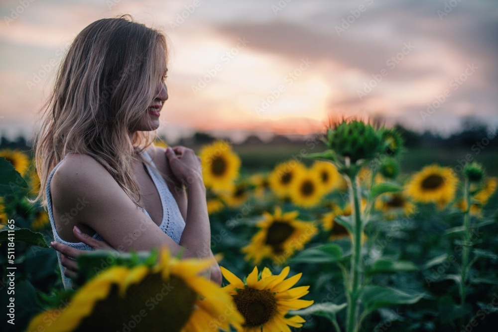 A young, slender girl with loose hair in a T-shirt stands in a field of sunflowers at sunset A young, slender girl with loose hair in a T-shirt stands in a field of sunflowers at sunset