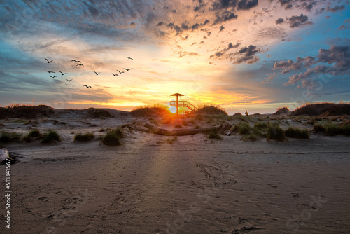 delta de l'ebre