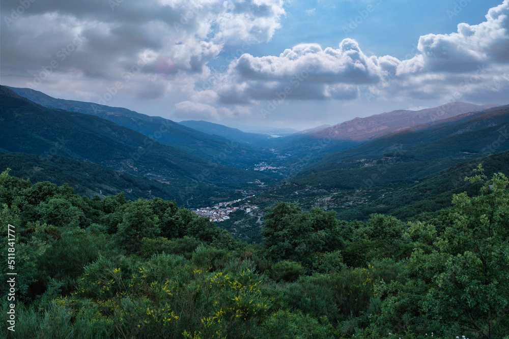 JERTE VALLEY, WONDERFUL IN SPRING, PICKED FROM THE FAMOUS JERTE CHERRY JERTE VALLEY, WONDERFUL IN SPRING, PICKED FROM THE FAMOUS JERTE CHERRY