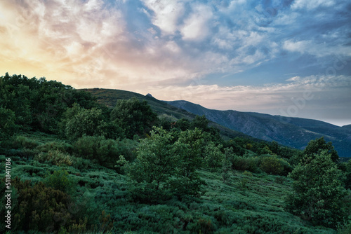 JERTE VALLEY, WONDERFUL IN SPRING, PICKED FROM THE FAMOUS JERTE CHERRY