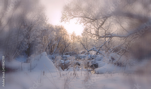 Winter blurred landscape with snow covered trees © valeriy boyarskiy