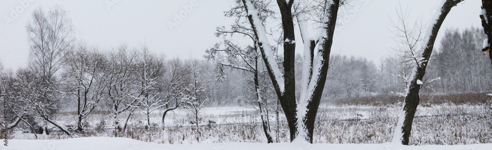 Fototapeta premium Christmas and New Year. Winter landscape. heavy snow covered the trees