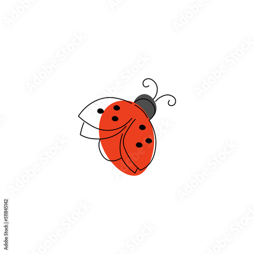 ladybug on white background