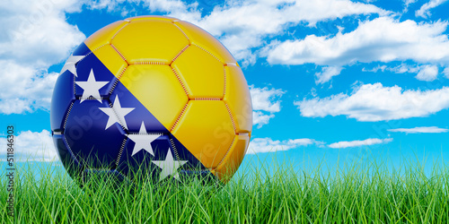 Soccer ball with Bosnian and Herzegovinan flag on the green grass against blue sky  3D rendering