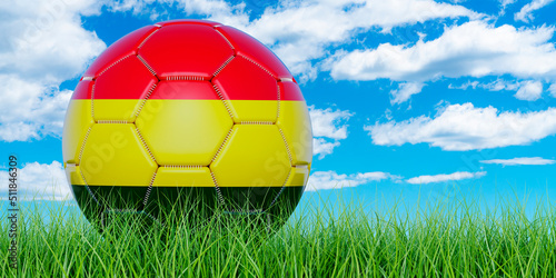 Soccer ball with Bolivian flag on the green grass against blue sky  3D rendering