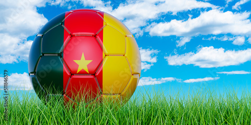 Soccer ball with Cameroonian flag on the green grass against blue sky  3D rendering