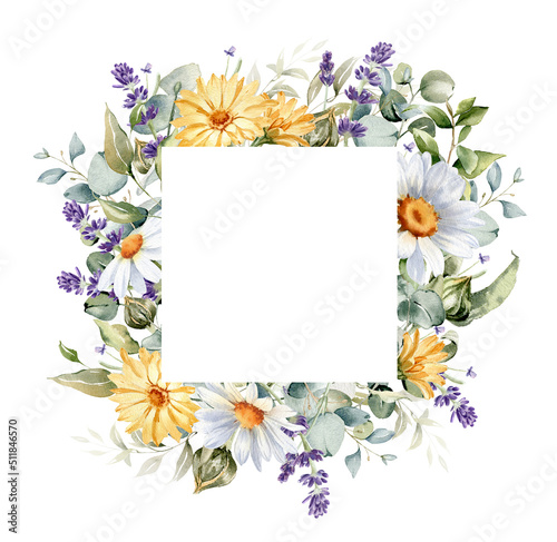 Watercolor floral frame. Daisy flower, calendula, lavender, eucalyptus branches and leaves. Summer wildflowers for greeting cards and invitations, natural products wrapping, logo and DIY.