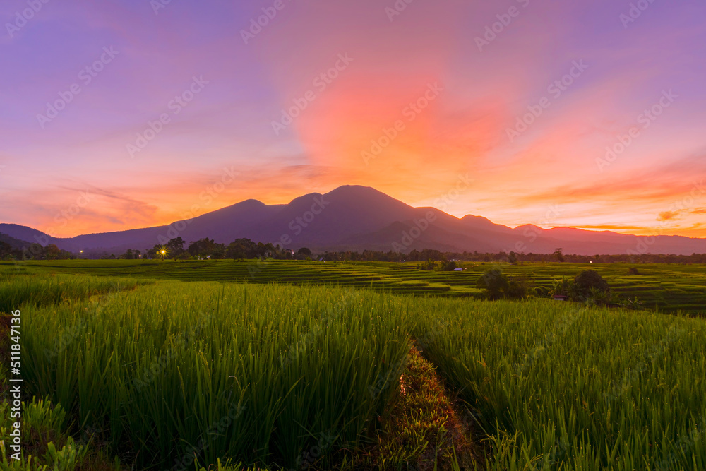 beauty morning view with sunrise at green paddy fields