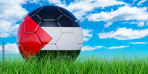 Soccer ball with Palestinian flag on the green grass against blue sky  3D rendering