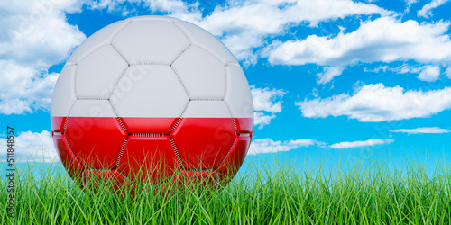 Soccer ball with Polish flag on the green grass against blue sky  3D rendering