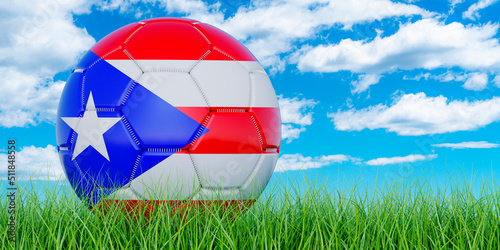 Soccer ball with Puerto Rican flag on the green grass against blue sky  3D rendering