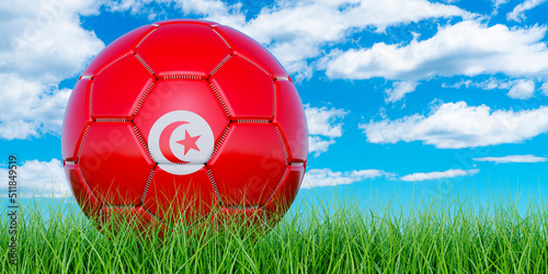 Soccer ball with Tunisian flag on the green grass against blue sky  3D rendering