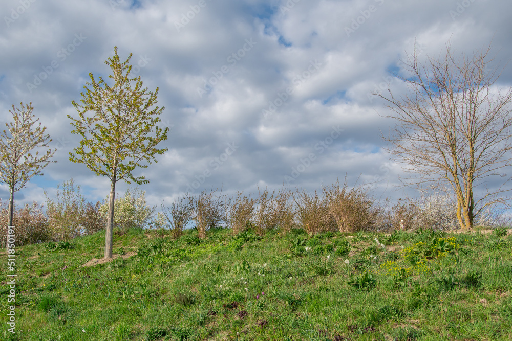 beautiful view in the park, blue sky with clouds, summer sunny day in nature, Ingolstadt beautiful view in the park, blue sky with clouds, summer sunny day in nature, Ingolstadt