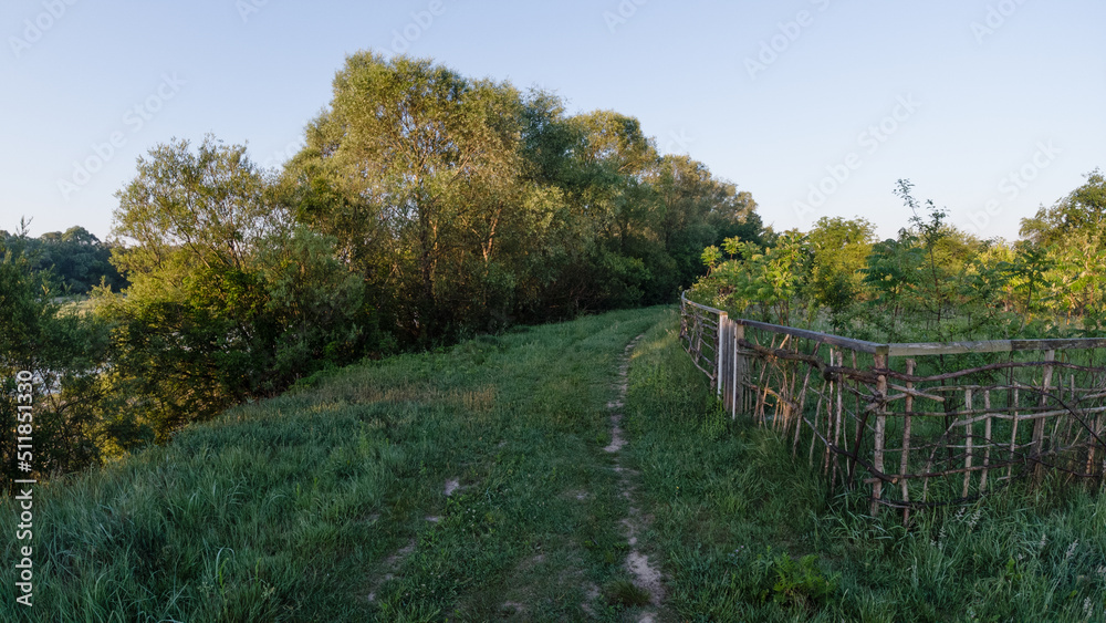 field road in the summer morning