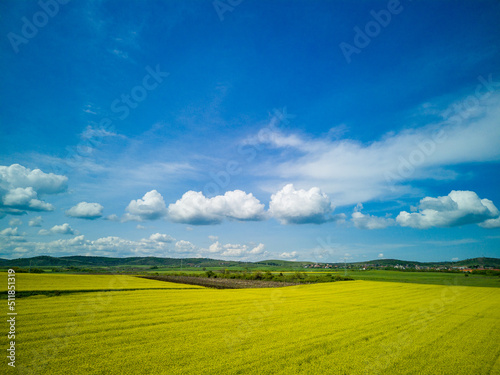 Meadows with a plant in a valley with fields against the background of the daytime sky in Bulgaria