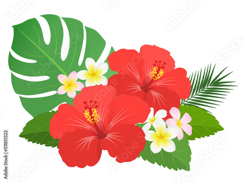 ハイビスカス・プルメリア・南国植物の装飾_ベクターイラスト