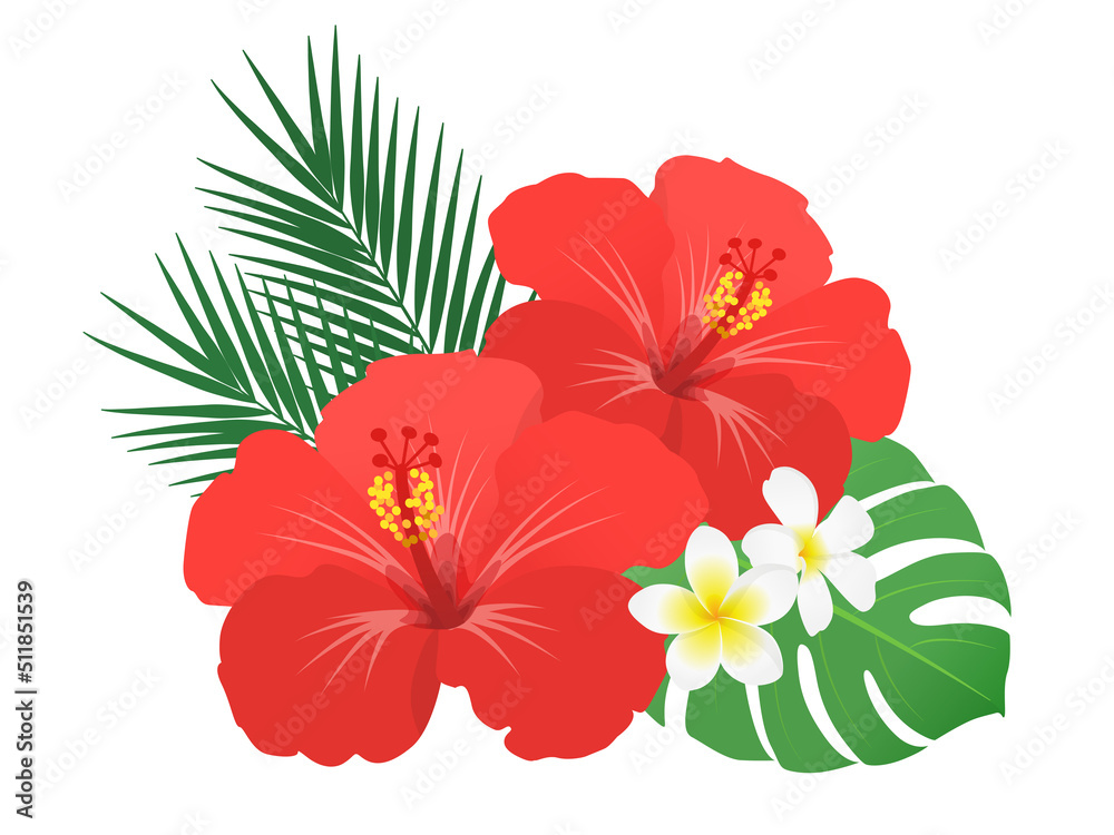 Fototapeta premium ハイビスカス・プルメリア・南国植物の装飾_ベクターイラスト