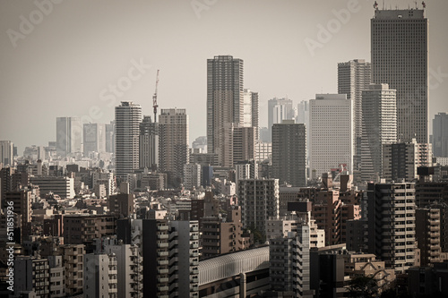 東京のビル群 © 雄刀 鷲巣