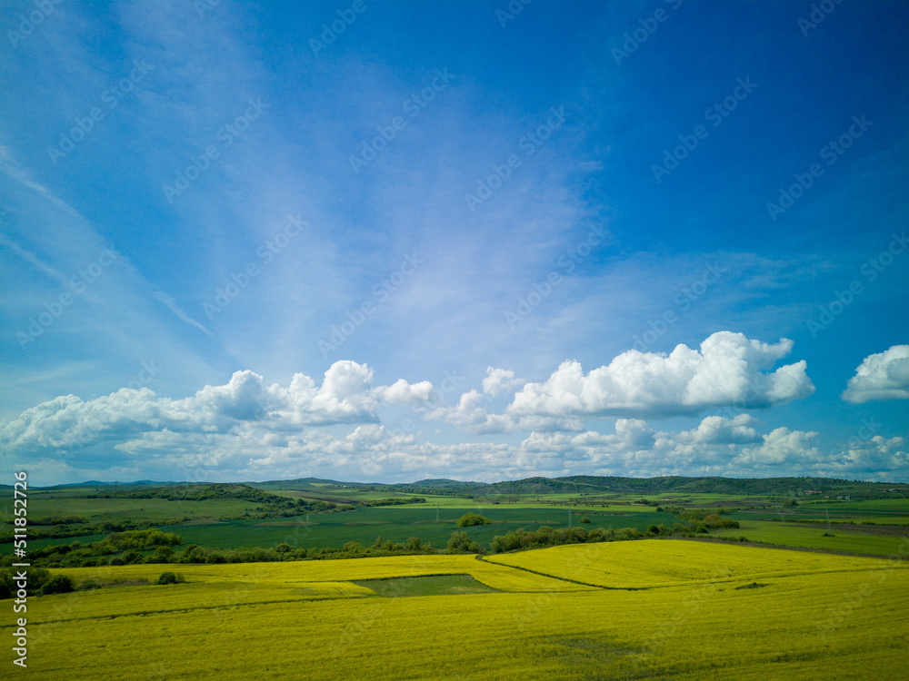 Fototapeta premium Top view of field with rapeseed and field with grass against blue sky