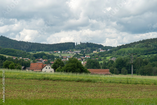 Village in the beautiful forest of Bavaria, Germany