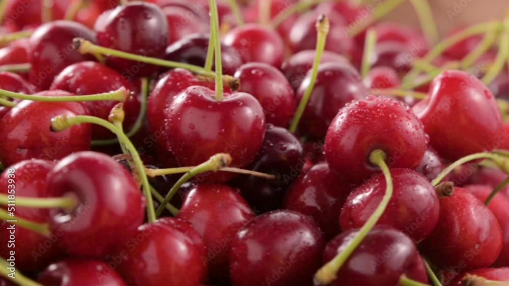 sweet cherry. Fresh juicy wet red cherry rotation. Bird-cherry berries. Loop motion. High quality FullHD footage sweet cherry. Fresh juicy wet red cherry rotation. Bird-cherry berries. Loop motion. High quality FullHD footage
