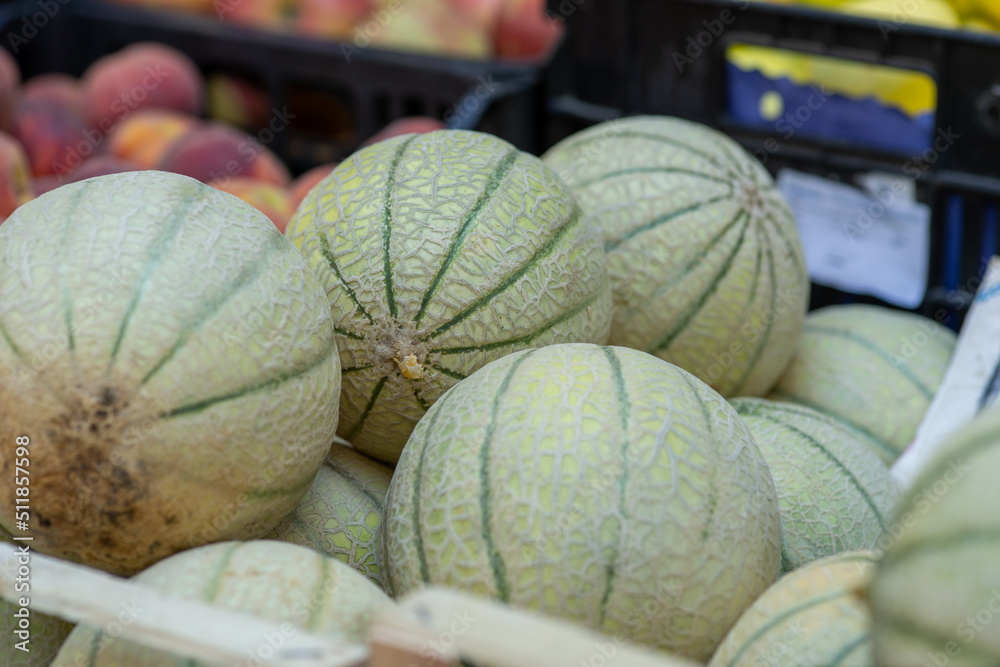 many fresh sugar melons on a farmers market, organic fruits for sale