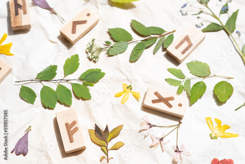 Tablou pe pânză ON A WHITE PAPER BACKGROUND THERE ARE VARIOUS COLORED DRIED PLANTS AND FLOWERS I