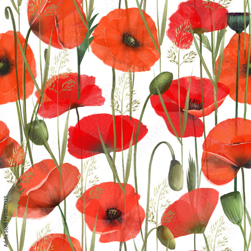 seamless-pattern-of-red-poppies-and-meadow-plants-illustration-on-white-background
