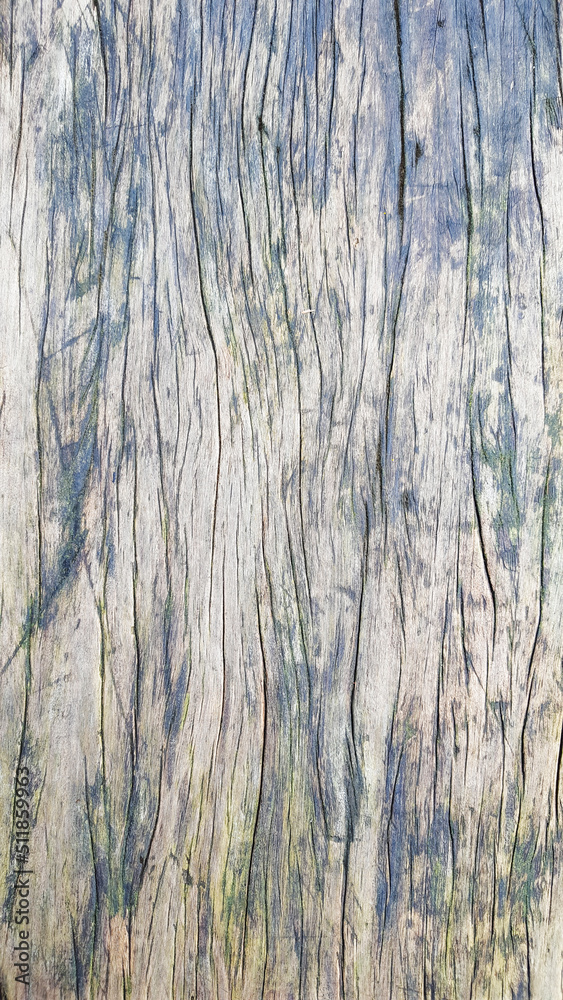 Obraz premium Brown wooden background with cracked lines of wood plank