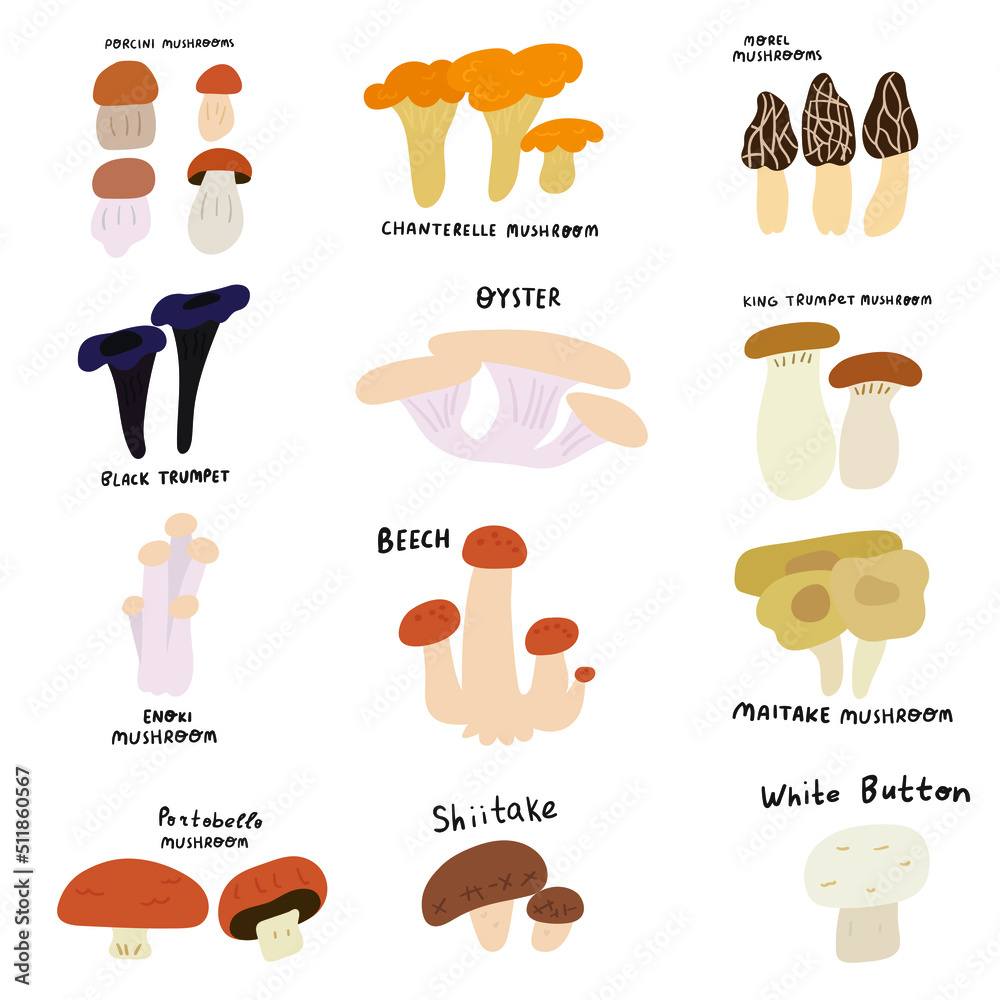 Set of mushrooms illustrations. Flat vector hand drawn icons on white background.