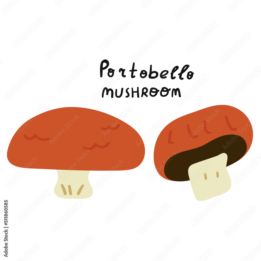 Portobello mushrooms. Vector illustration on white background. Portobello mushrooms. Vector illustration on white background.