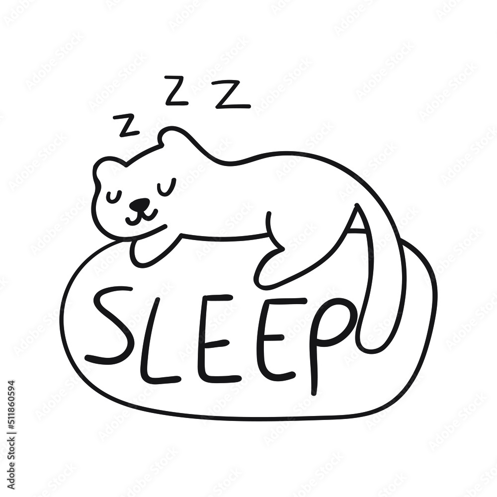 Obraz premium Sleep. Cute domestic cat. Outline illustration on white background.