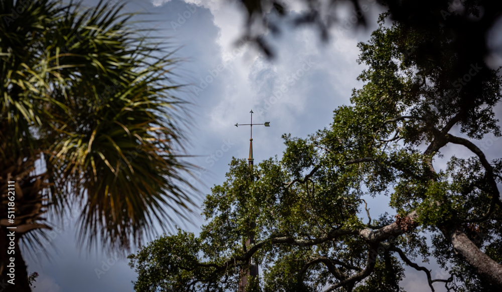 Obraz premium Charleston