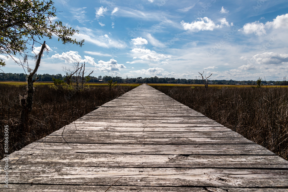 Fototapeta premium Lowcountry Life