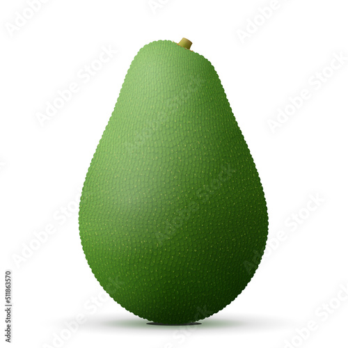 Whole avocado fruit close up. Single ripe avocado isolated on white background. Vector illustration about fruits, agriculture, healthy food, cooking, vegetarianism, etc
