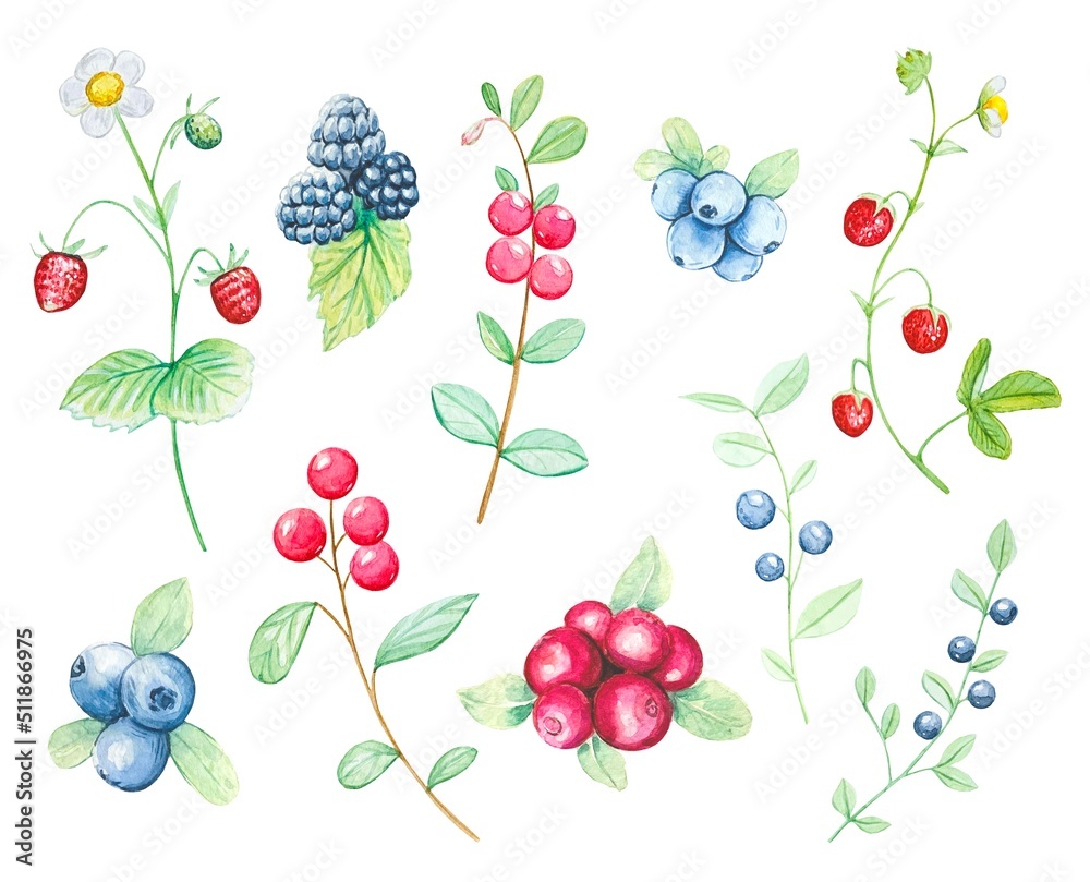Set of wild berries in watercolor