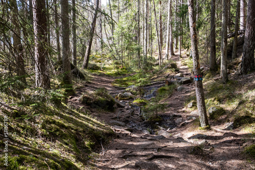 Wandern im der Wildnis des Tiveden Nationalpark in Schweden