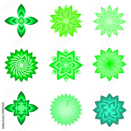 Hello springtime freshy greenery flower plant botanical icon element background pattern vector illustration