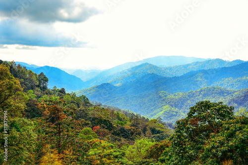 landscape with sky