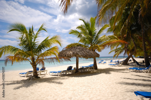 Exotic beach. The Dominican Republic