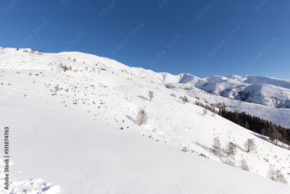 View of snowshoeing route