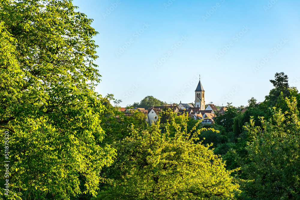 Picturesque small historic village seen trough green trees in summer in Southern Germany