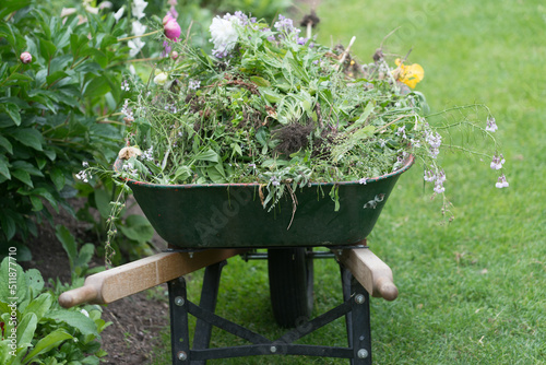 Foto wheelbarrow full of garden matter