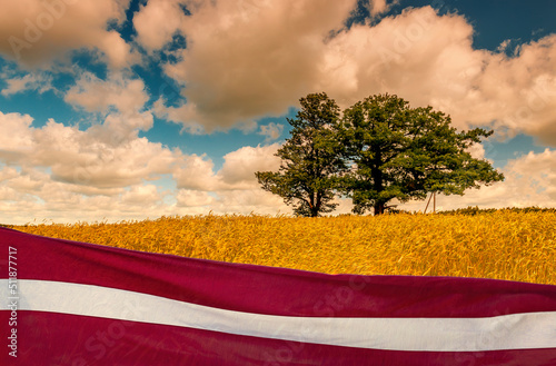 Сonceptual image symbolizing high grain yields in advanced agriculture and fa...