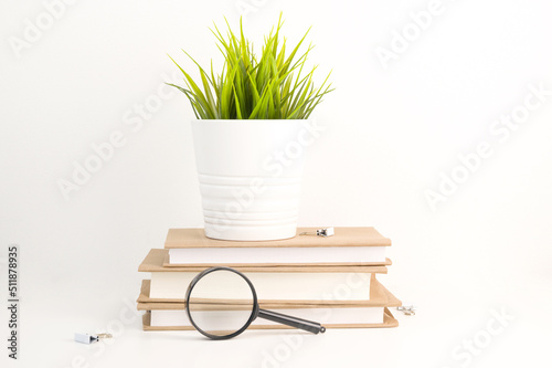 Stack of books with magnifier near and flower on top.Beginning of school year concept.