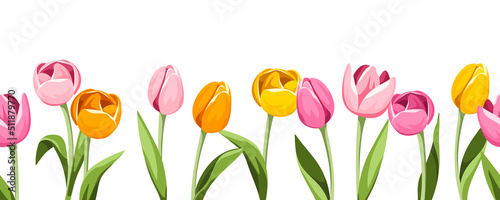 Horizontal seamless border with pink, orange, and yellow tulip flowers. Vector illustration