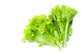 Fresh organic green salad vegetables on white background. Concept : organic food ingredient, can be eaten as fresh vegetable or use to decorate dish with other food. Healthy eating. Agriculture crops.