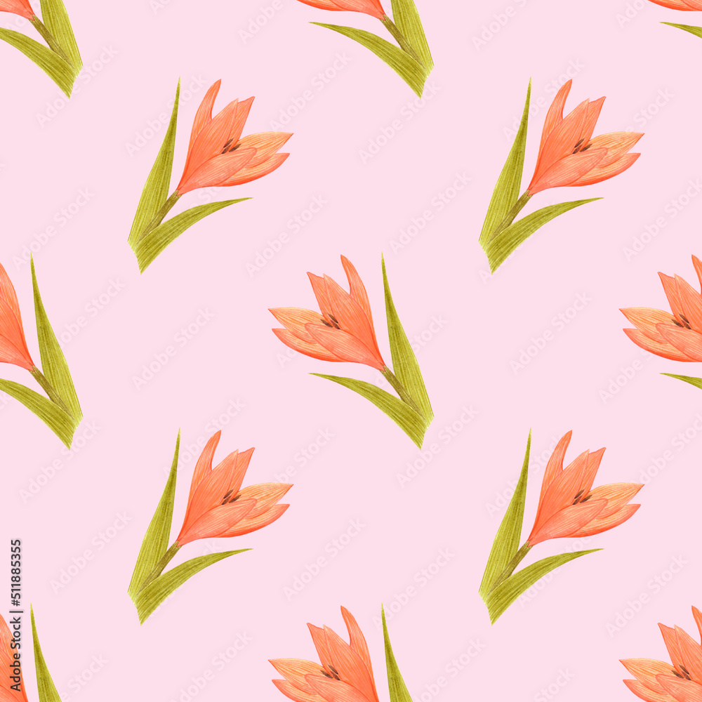 Fototapeta premium Handdrawn lily seamless pattern. Watercolor orange lily on the pink background. Scrapbook design elements. Typography poster, wedding card, label, banner design set, textile.