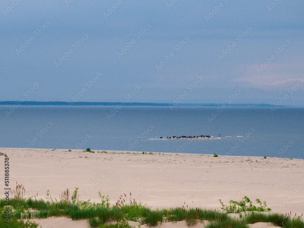 Morze Bałtyckie 2